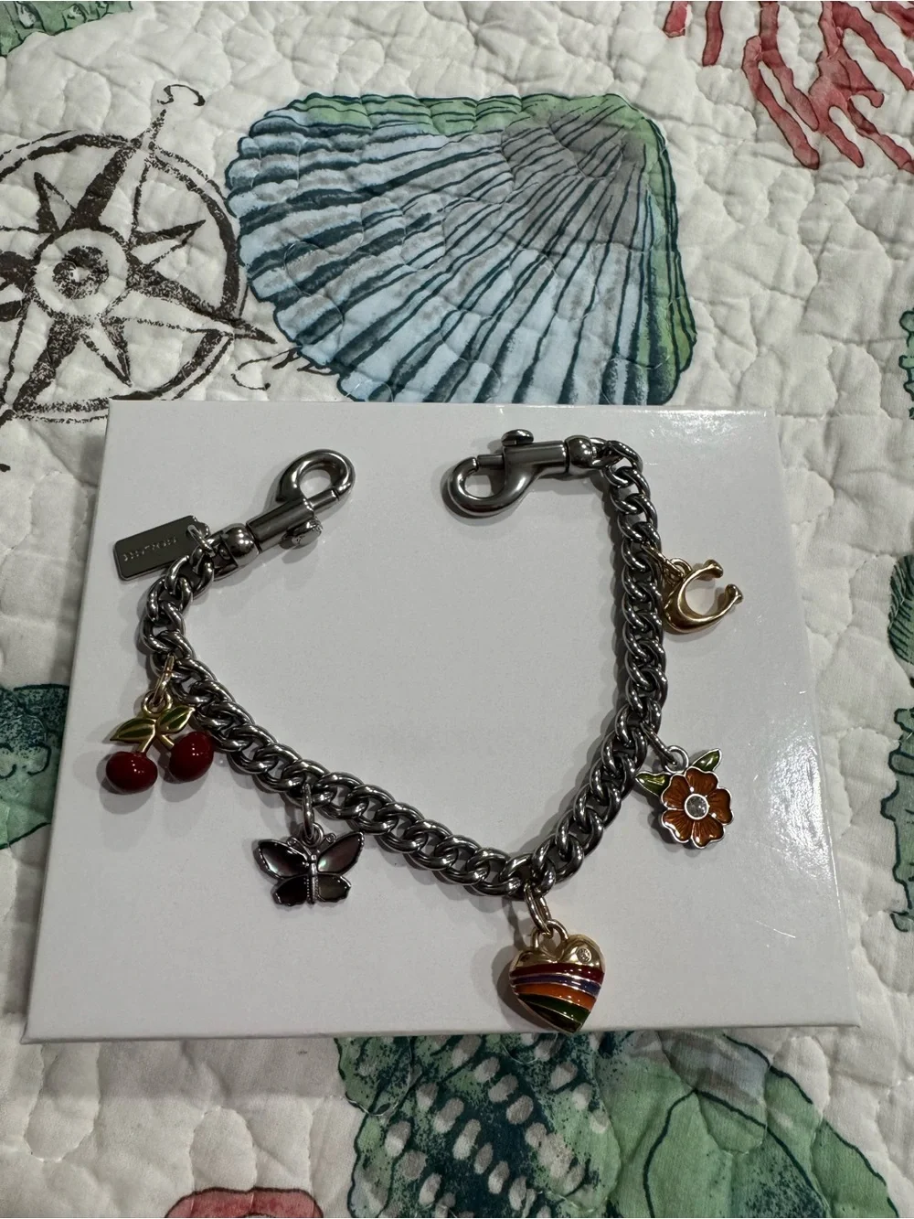 Coach bag chain